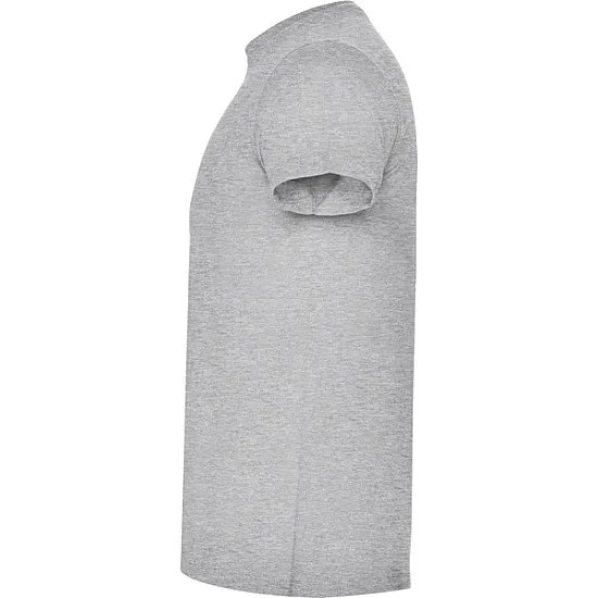 Men's grey Atomic T-shirt T-shirt | Polo Roly