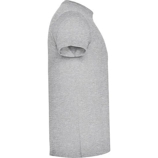Men's grey Atomic T-shirt T-shirt | Polo Roly