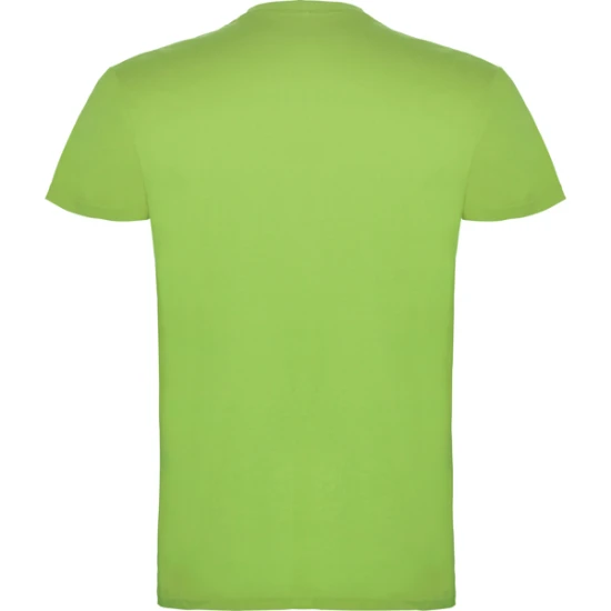 Vyriški šviesiai žalios spalvos marškinėliai Beagle Marškinėliai | Polo Roly