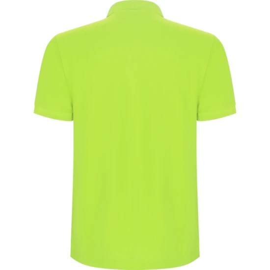 Vyriški salotiniai polo marškinėliai Pegaso Marškinėliai | Polo Roly