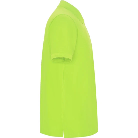 Vyriški salotiniai polo marškinėliai Pegaso Marškinėliai | Polo Roly