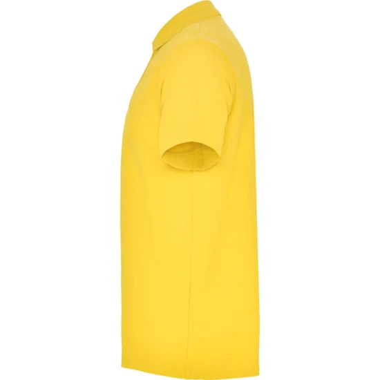 Vyriški geltoni polo marškinėliai Austral Marškinėliai | Polo Roly