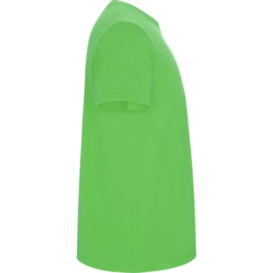 Vaikiški salotinės spalvos marškinėliai Stafford Marškinėliai | Polo Roly