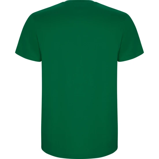 Vyriški sodriai žali marškinėliai Stafford Marškinėliai | Polo Roly