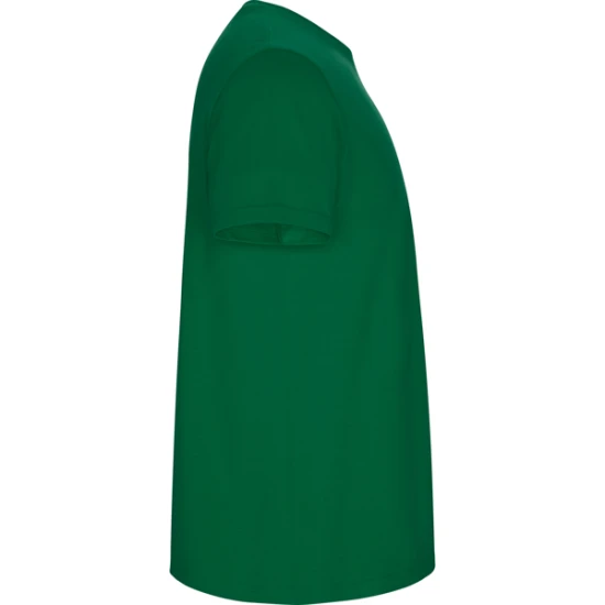 Vyriški sodriai žali marškinėliai Stafford Marškinėliai | Polo Roly