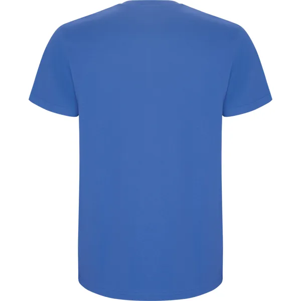 Men's blue shirt Stafford T-shirt | Polo Roly