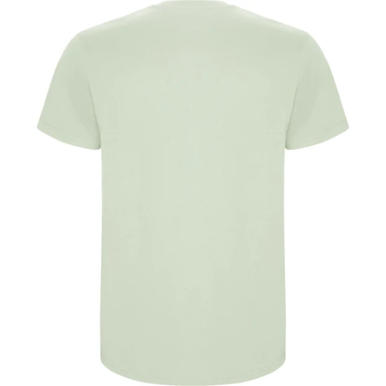 Vyriški žalsvos palvos marškinėliai Stafford Marškinėliai | Polo Roly