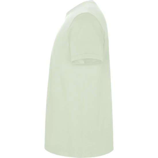 Vyriški žalsvos palvos marškinėliai Stafford Marškinėliai | Polo Roly