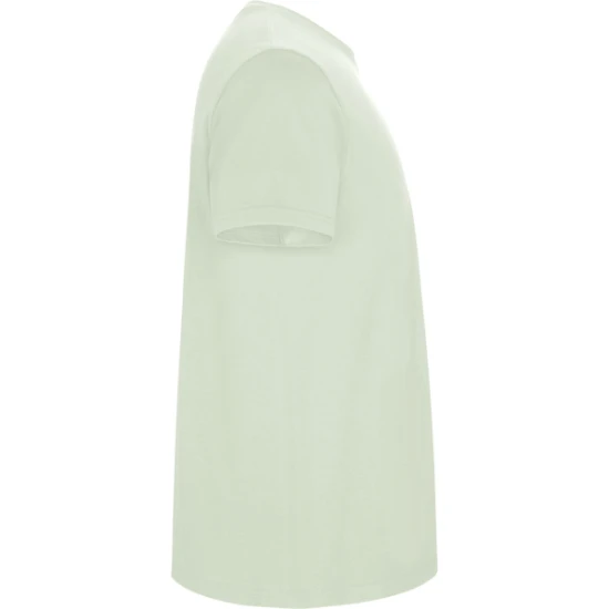 Vyriški žalsvos palvos marškinėliai Stafford Marškinėliai | Polo Roly