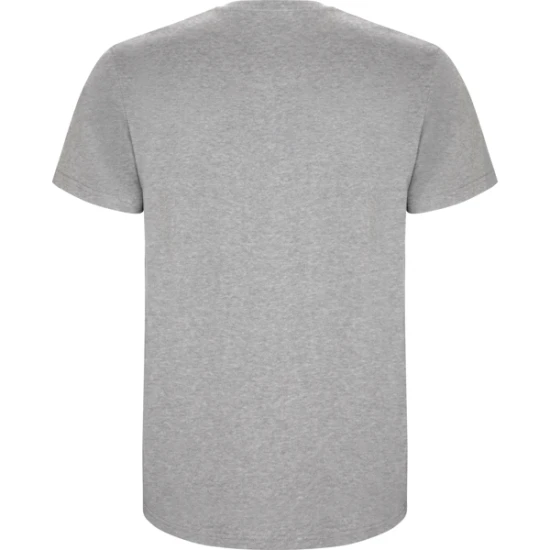 Vyriški šviesiai pilkos spalvos marškinėliai Stafford Marškinėliai | Polo Roly