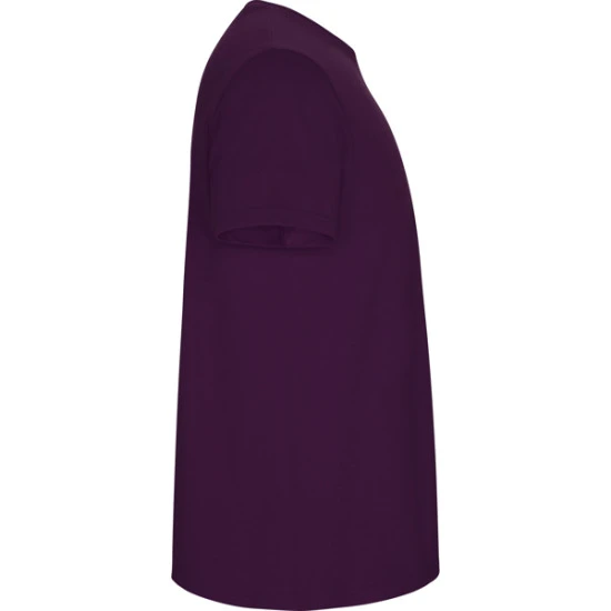 Vyriški violetinės spalvos marškinėliai Stafford Marškinėliai | Polo Roly