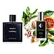 Nr202 kvepalai įkvėpti Chanel - Bleu Chanel 104 ml FP Vyrams French Perfumes
