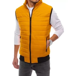 Dygsniuota vyriška geltona liemenė Lider