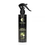 Automobilio ir namų kvepalai Apple/Cinnamon 150 ML