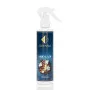Auton ja kodin hajuvesi No630 - GOOD LADY 150 ML