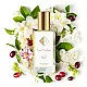 Nr147 kvepalai įkvėpti Cerruti – 1881 m. 33 ml EDP FP Moterims French Perfumes