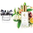 № 26 парфюм, вдохновленный Tommy Hilfiger — Peach Blossom 33 мл