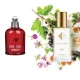 Nr. 64 kvepalai įkvėpti Cacharel - Amor Amor 2 ml