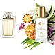 Nr. 65 kvepalai įkvėpti Chloe - Love Story 33 ml