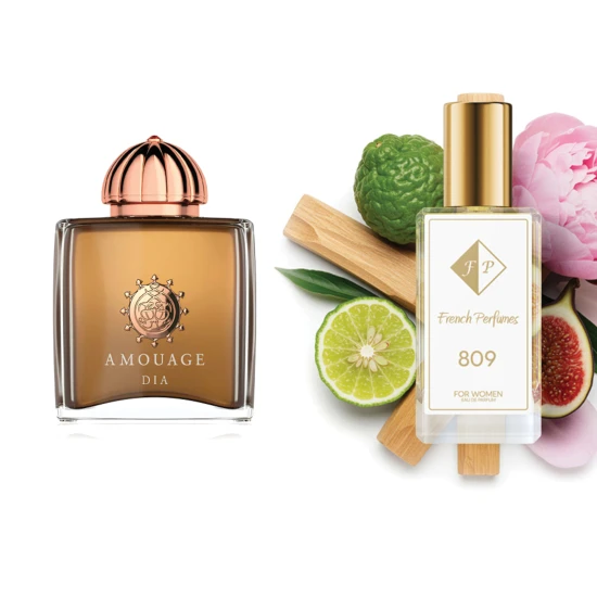 Nr809 kvepalai įkvėpti Amouage Dia Pour Femme 104 ml