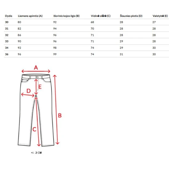 Vyriški pilki jogeriai Just Džinsai ir Jogeriai