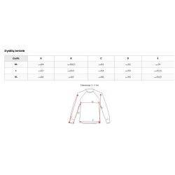 Vyriškas bordo džemperis Ostin