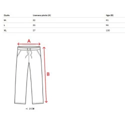 Vyriškos pilkos laisvalaikio kelnės Anton