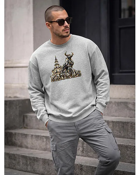 Men's Light Grey Sweatshirt Kaunas
