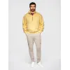 Men's brown trousers Braint Casual trousers