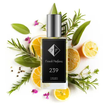 No239 perfume inspired by Hermes - Terre d'Hermès Eau Givrée 104 ml EDP