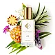 Nr. 65 kvepalai įkvėpti Chloe - Love Story 104 ml