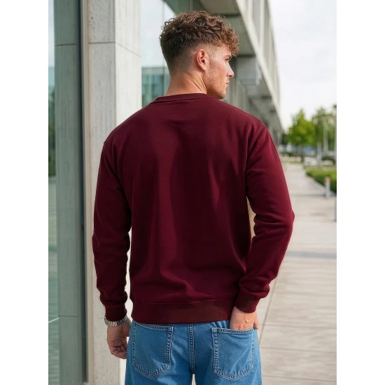 Vyriškas bordo džemperis be gobtuvo Steel Džemperiai be gobtuvo