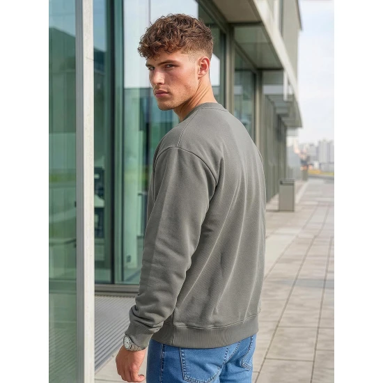 Vyriškas pilkas džemperis be gobtuvo Steel Džemperiai be gobtuvo