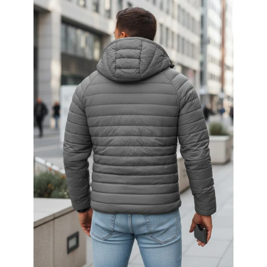 Vyriška pilka striukė Serg TX4422