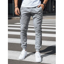 Vyriškos pilkos laisvalaikio kelnės Rebel