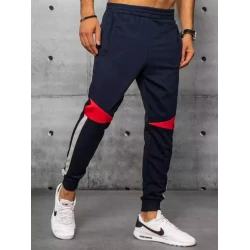 Vyriškos tamsiai mėlynos laisvalaikio kelnės Anton