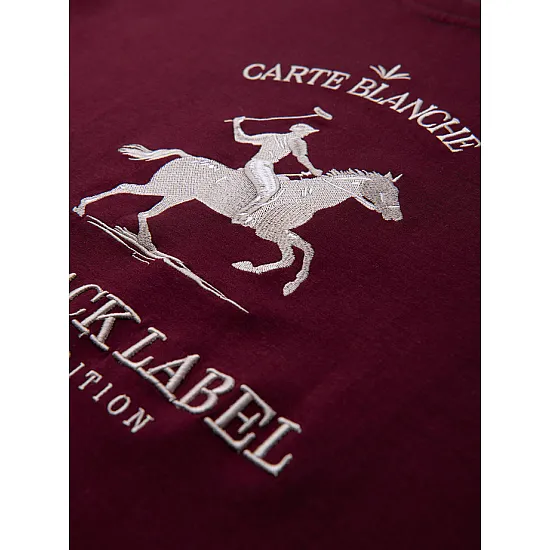 Vyriškas bordo spalvos džemperis Carte