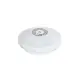 Baterijomis maitinama LED baseino lempa Bestway 58419