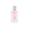 Testeris Dsquared Wood For Her Edt 100 ml