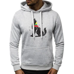 Pilkos spalvos vyriškas džemperis su gobtuvu Vilkas