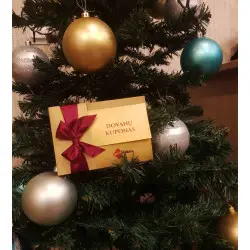 100€ Dovanų kuponas