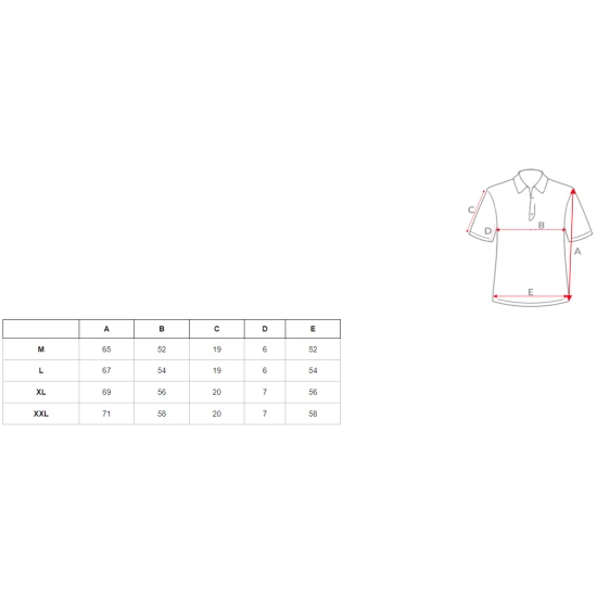 Vyriški balti polo marškinėliai Casual JS/8T80/1