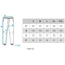 Vyriški pilki džinsai Joy