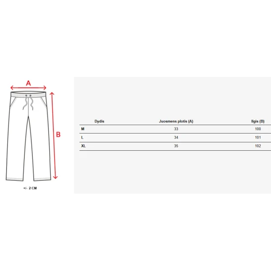 Vyriškos tamsiai pilkos laisvalaikio kelnės Harin UX4423
