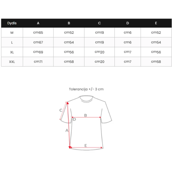 Pilki vyriški marškinėliai Remer Vienspalviai marškinėliai