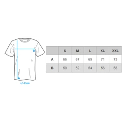 Vyriški baltos spalvos polo marškinėliai Swing