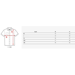 Vyriški tamsiai pilki polo marškinėliai Lima