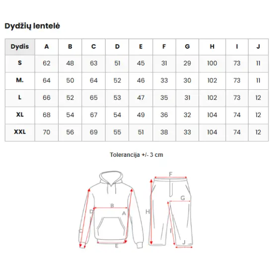 Vyriškas rusvos spalvos sportinio kostiumo komplektas Icon O/LN11760