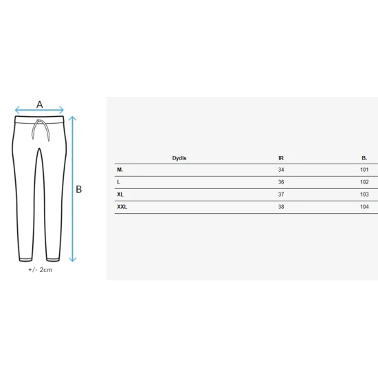 Moteriškos šviesiai pilkos spalvos laisvalaikio kelnės Fiona UY2646