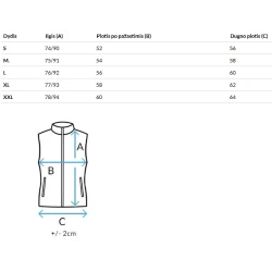 Moteriška pilka blizgi liemenė Jess